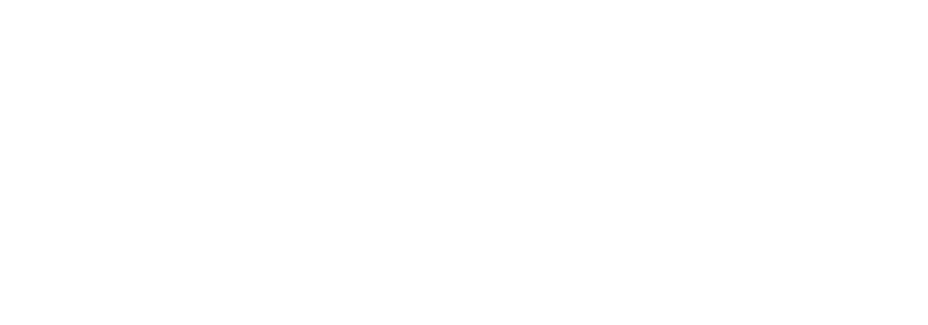 Janet Lucena, Desarrollo Académico y Profesional